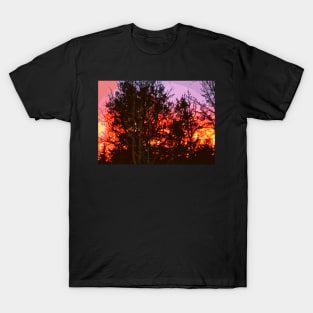 Oaks 24 T-Shirt